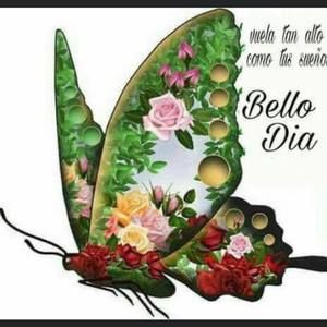 Meet your Posher, Amalia